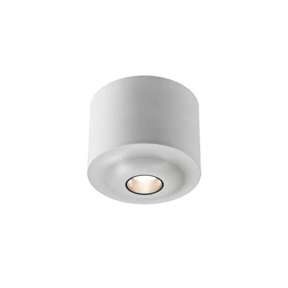 LED Dimming Ceiling Light Room Decoration Light Room Decoration Ceiling Light Atmosphere Light Commercial Spotlight Lighting