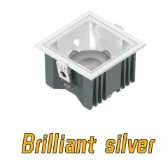 Brilliant silver