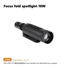 Focus spotlight-10W