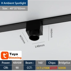 H Ambient SpotLight