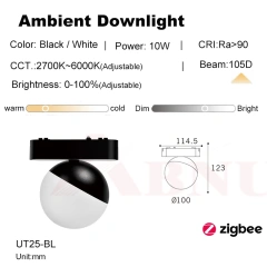 Ambient Downlight