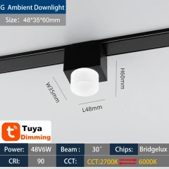 G Ambient FloodLight
