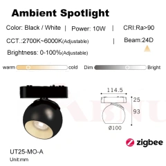 Ambient Spotlight