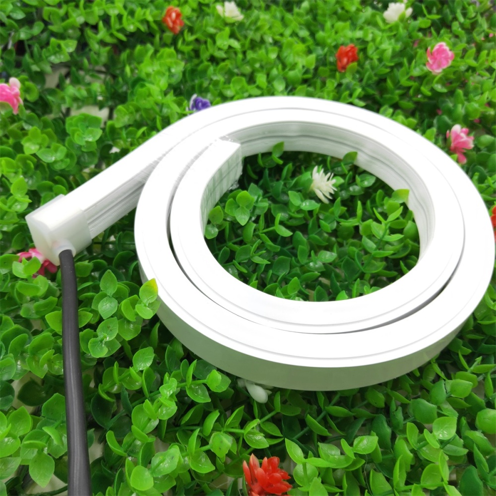 Bigger Size Linear Lighting 30*20mm 24V Flat Surface Lighting Silicone Flex Neon Strip Lights