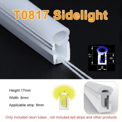 T0817 Sidelight