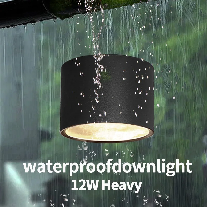 IP65 downlight waterproof LED ceiling light AC85v-265v outdoor spotlights for recessed 12W High brightness lighting