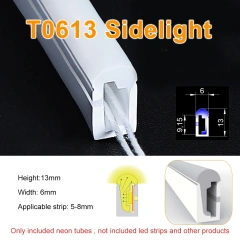 T0613 Sidelight