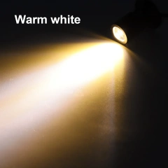 Warm White