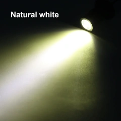 Neutral White