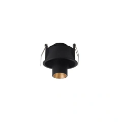 Black and Gold