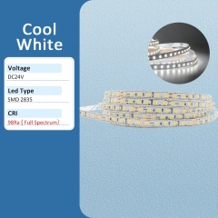 Cool White