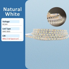 Natural White