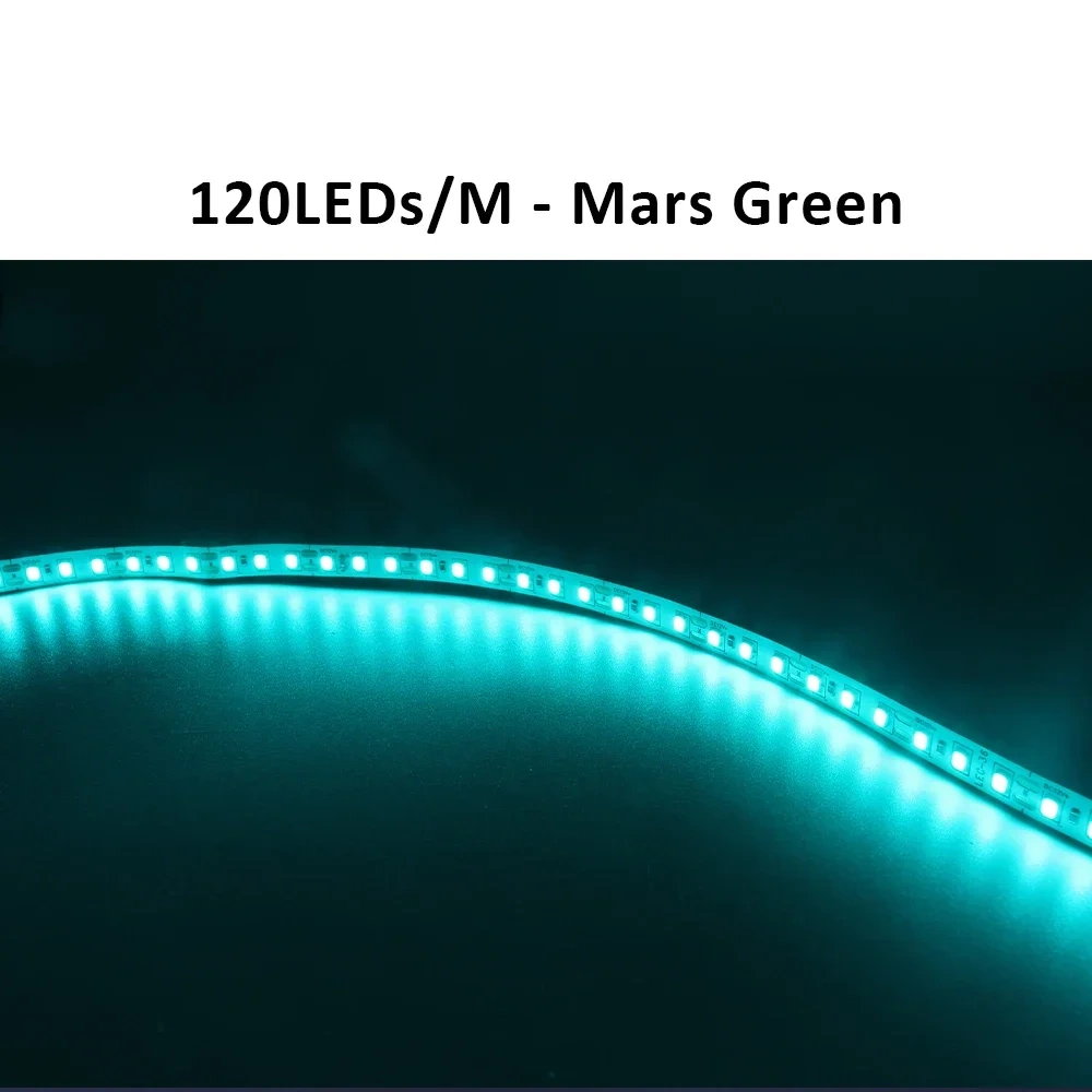 5M 12V LED Strip SMD 2835 LED Tape 120LED/M 240LED/M Ice Blue Warm Cool White 12 volt Flexible Stripe Ribbon Home Decor Light