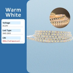 Warm White