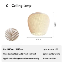 C Ceiling light
