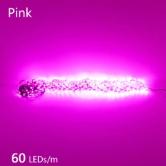60LED Pink