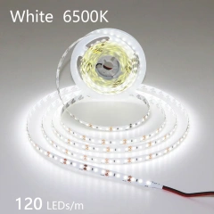 120LED 6500K