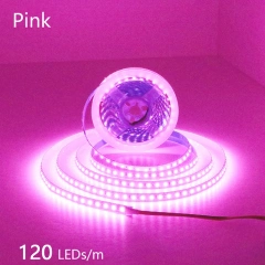120LED Pink