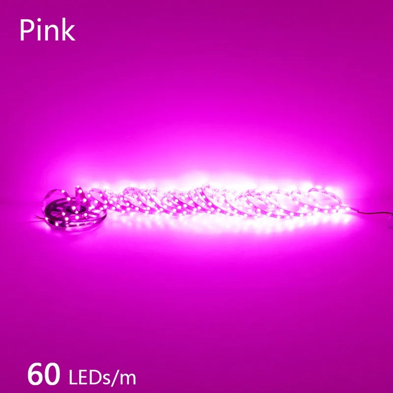 2835 5M 300 600 1200LEDs LED Strip DC12V 24V 120LEDs/m Home Waterproof IP65 Lamp Strip  Flexible And Cuttable Soft Lamp Bar