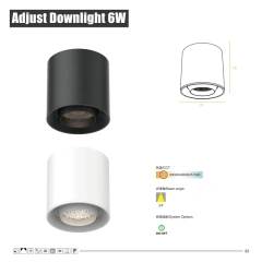 Adjust Downlight 6W