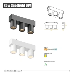 Row Spotlight 6W