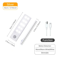 Silver 10CM