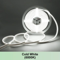 6000K Cold White