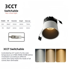 3 CCT Switchable