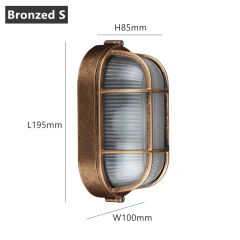 Bronzed S