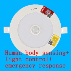 Human body sensing