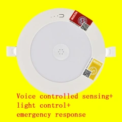 Voice controlled