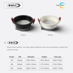 DALI2 DT8 2700-6500K