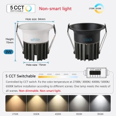 5 CCT Switchable