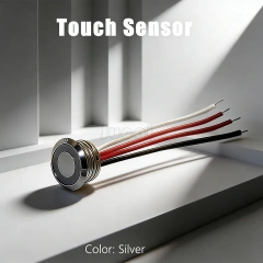 17T Silver