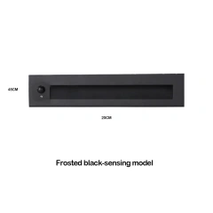 Black Sensor