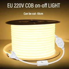 220V EU switch