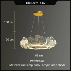 62cm