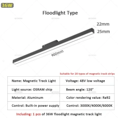 36W Floodlight