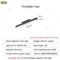 12W Floodlight