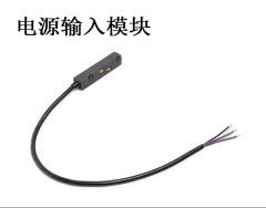 Power input module