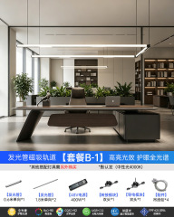 Magnetic luminous tube [package b-1] please note the light color