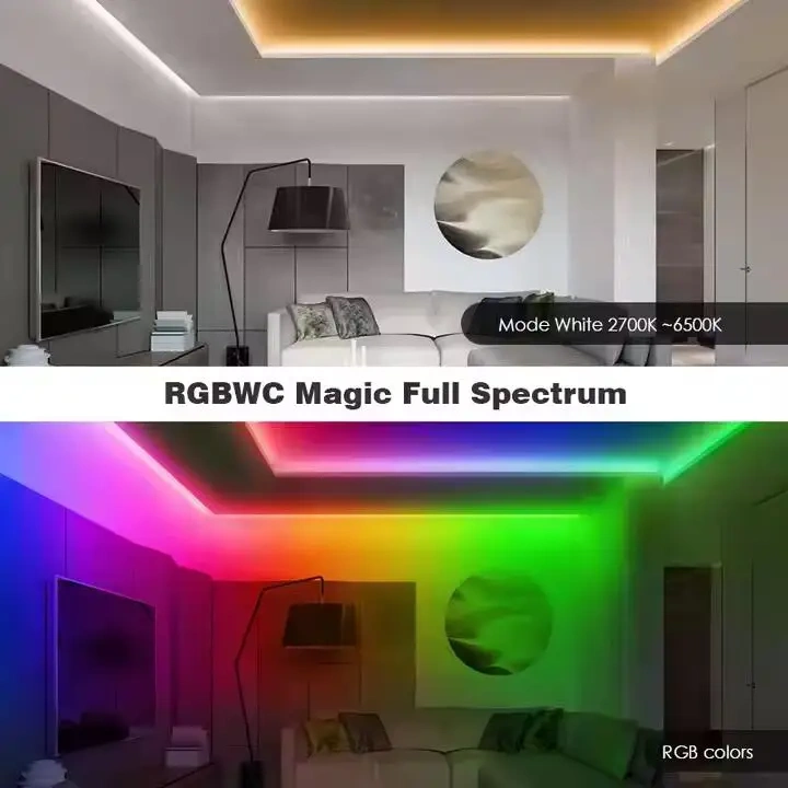RGB LED neon strip with water droplets illustrating the listed IP65 protection
