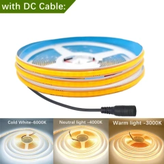 DC Plug
