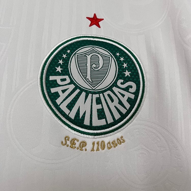 2024-25 Palmeiras away