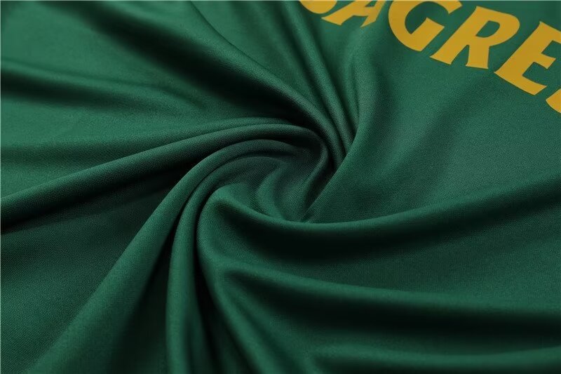 2023-2024 Portugal Half Pull Training Wear Green Football Shirt Set 1:1 Thai Quality