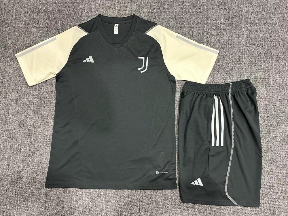 23-24 Juventus short-sleeved training jersey