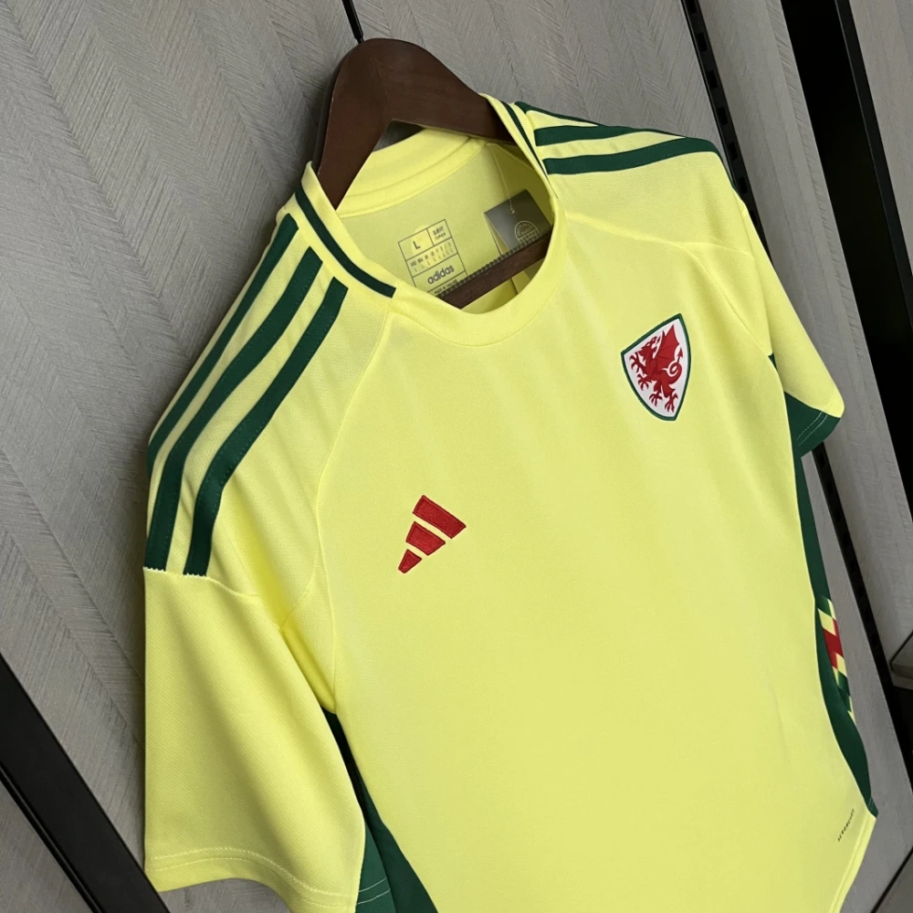 2024-25 Wales Away Football jersey