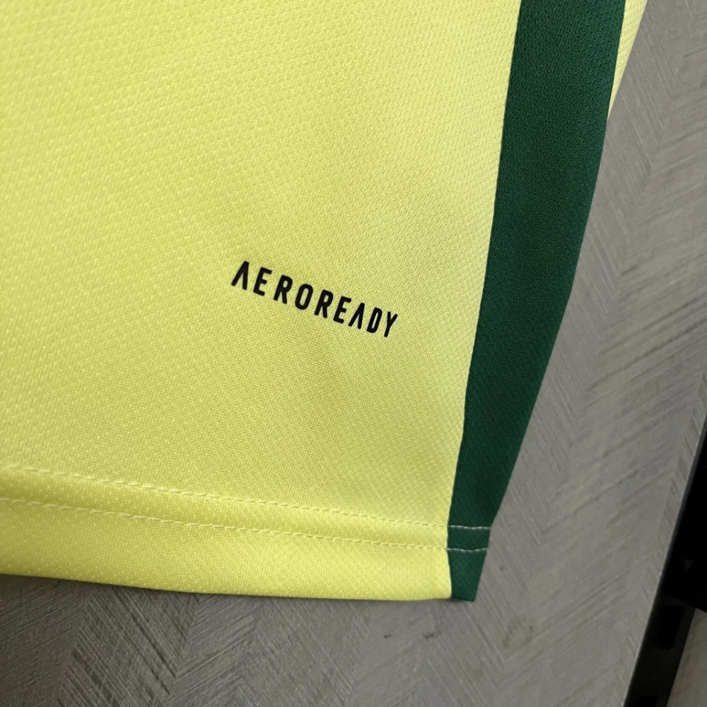 2024-25 Wales Away Football jersey