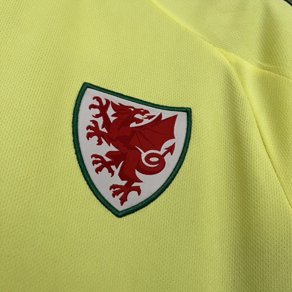 2024-25 Wales Away Football jersey
