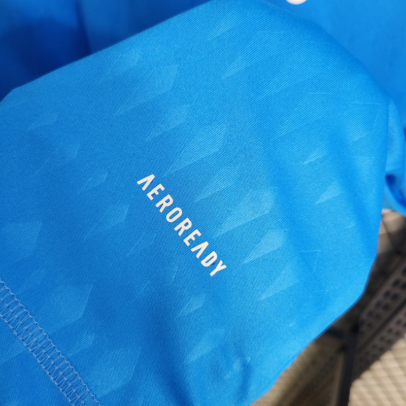 2023-24 Juventus Blue Goalkeeper  CHIESA VLAHOVIC POGBA KOSTIC Football jersey